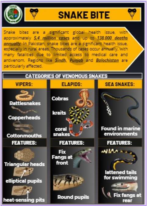 Snake Bite Guidelines